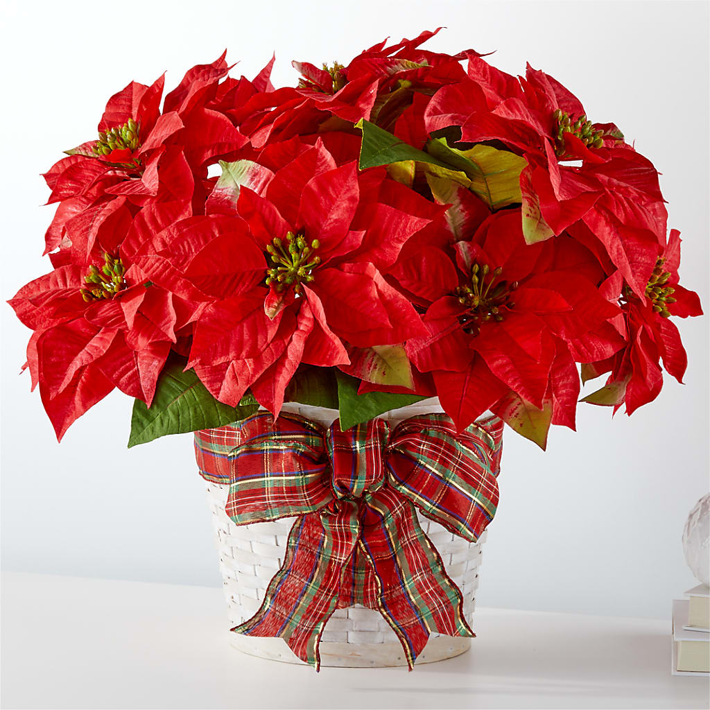 Happiest Holidays Poinsettia – Southern Utah Floral, Washington UT