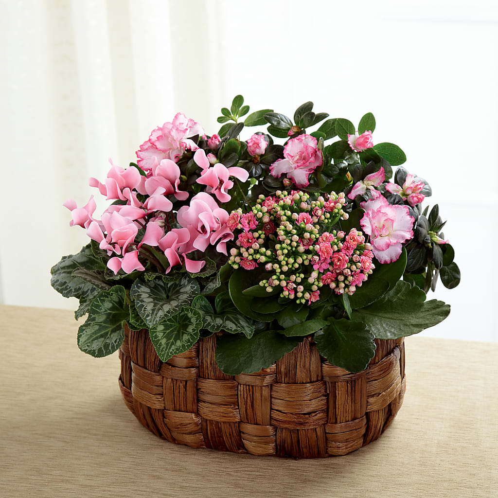 Pink Assortment – Southern Utah Floral, Washington UT