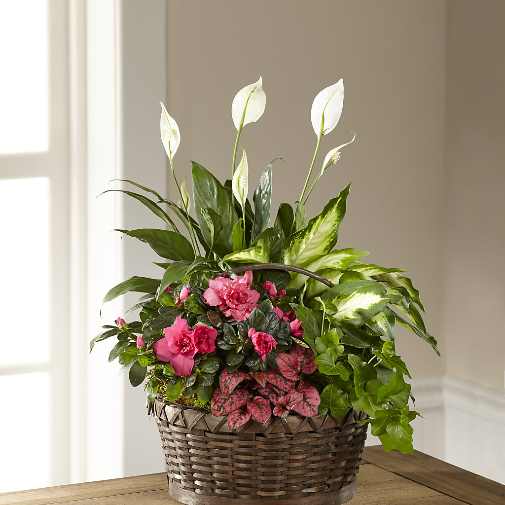 Dream in Pink Dishgarden – Southern Utah Floral, Washington UT