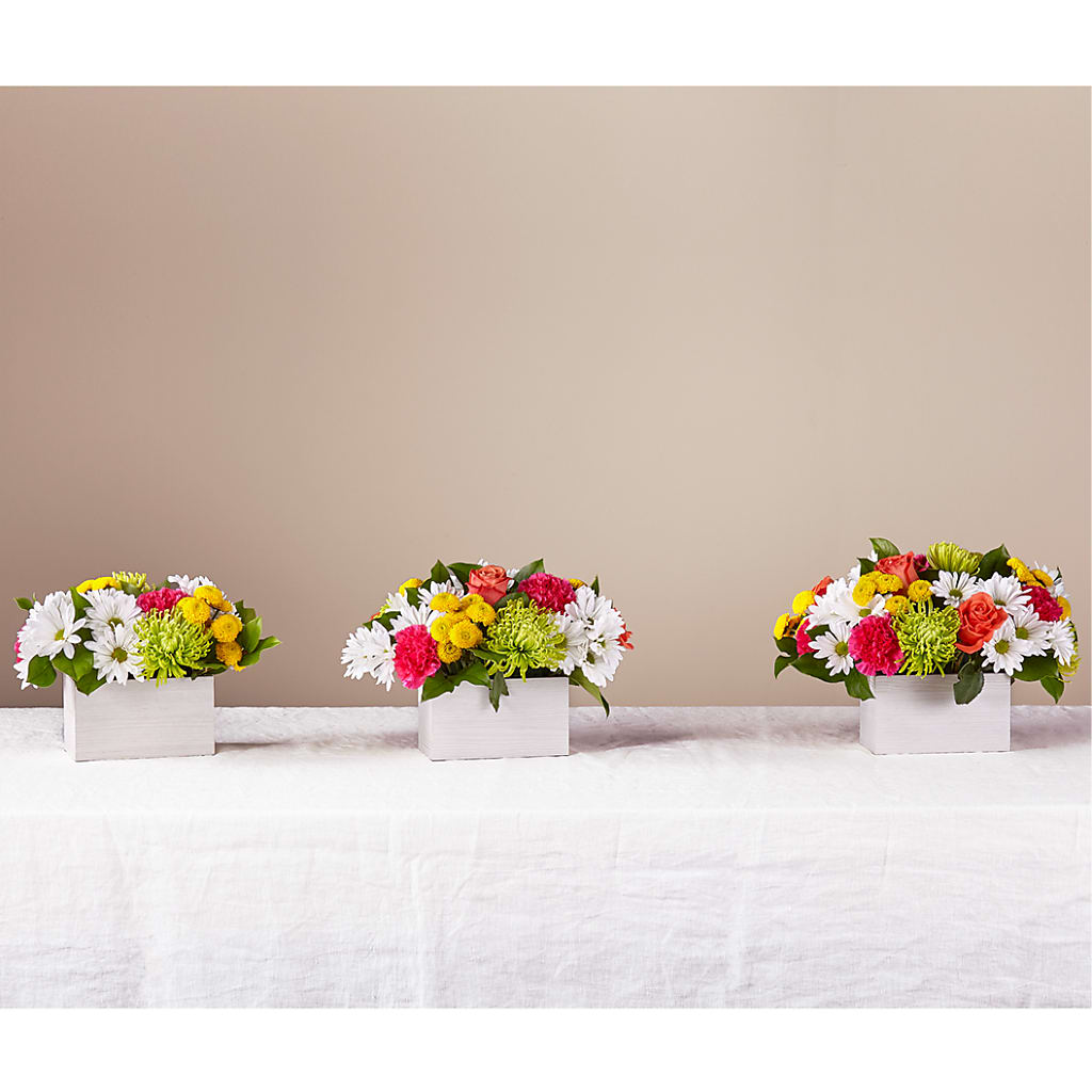 Sorbet Bouquet – Southern Utah Floral, Washington UT