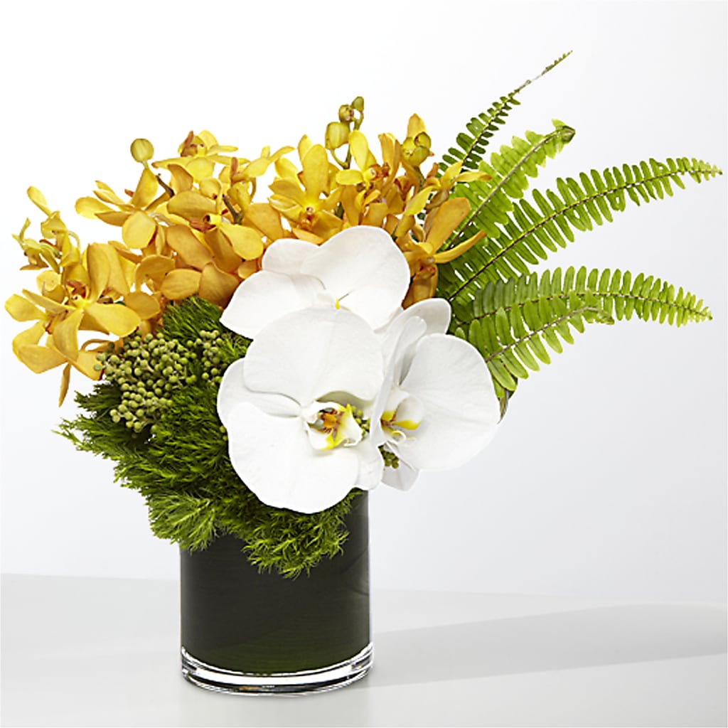 The Tropics – Southern Utah Floral, Washington UT