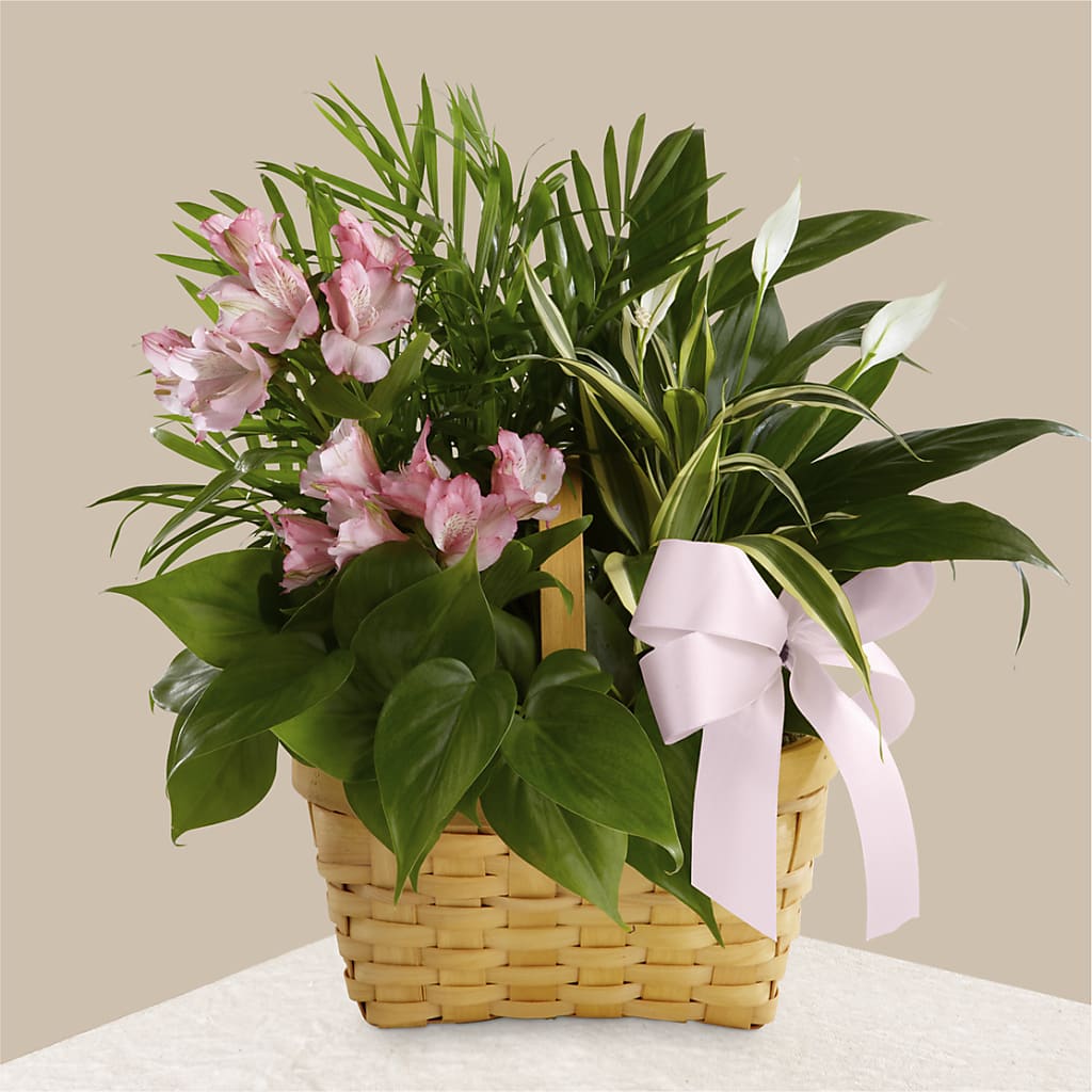 Living Spirit Dishgarden – Southern Utah Floral, Washington UT