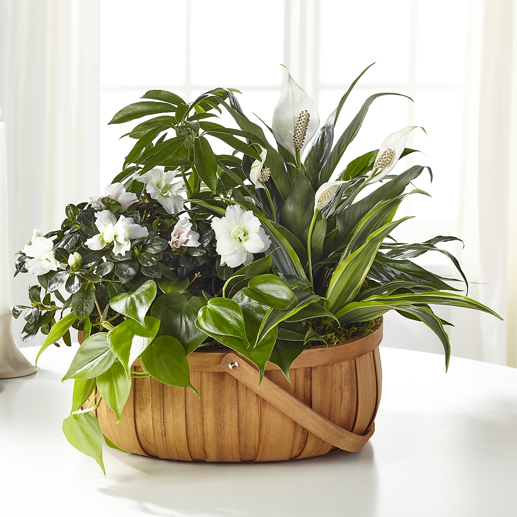 Serene Dishgarden – Southern Utah Floral, Washington UT