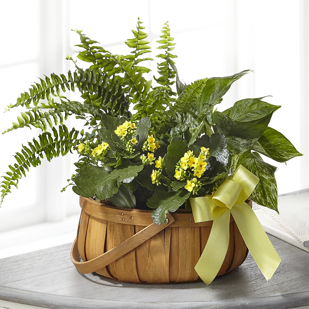 Always Dear Dishgarden – Southern Utah Floral, Washington UT