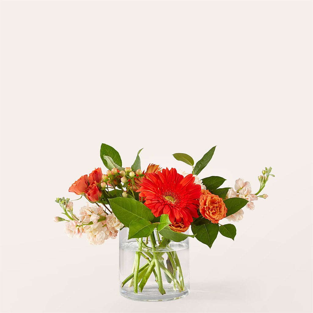 Paloma Please Bouquet – Southern Utah Floral, Washington UT