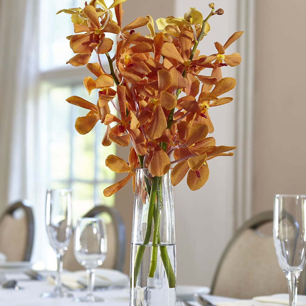 Orange Mokara Bud Vase – Southern Utah Floral, Washington UT