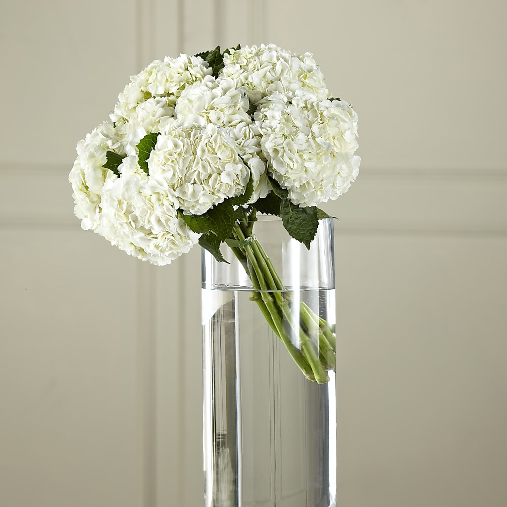 White Hydrangea Hand-Tied Bouquet – Southern Utah Floral, Washington UT