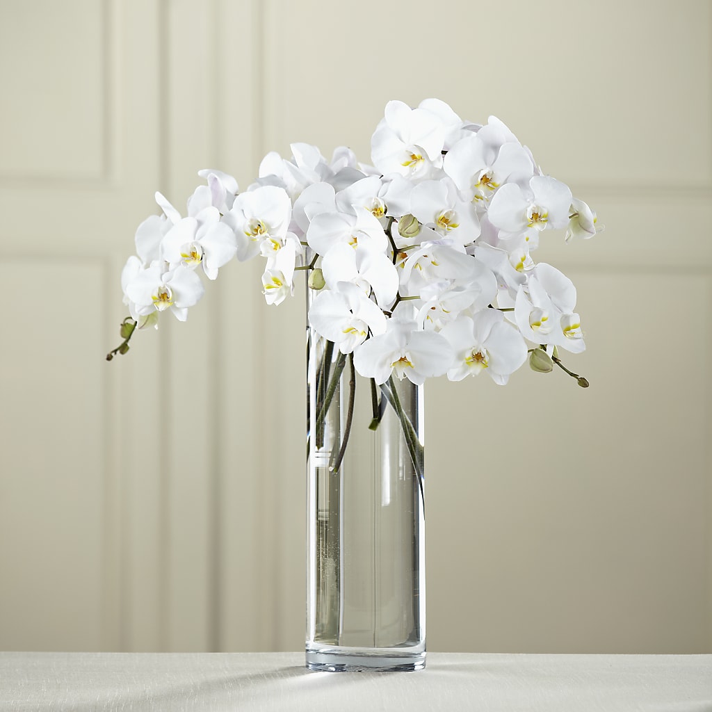White Phalaenopsis Bouquet – Southern Utah Floral, Washington UT