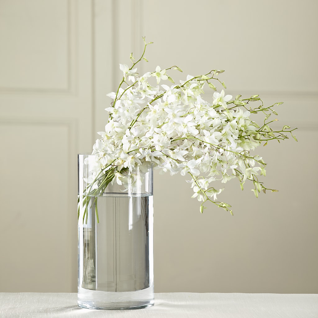 White Dendrobium Bouquet – Southern Utah Floral, Washington UT