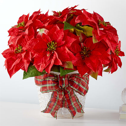 Happiest Holidays Poinsettia –  Southern Utah Floral, Washington UT