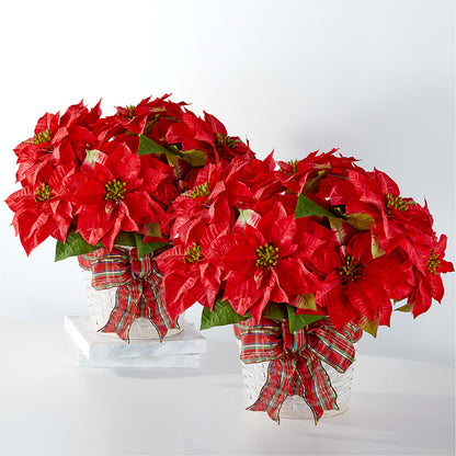 Happiest Holidays Poinsettia Bundle –  Southern Utah Floral, Washington UT