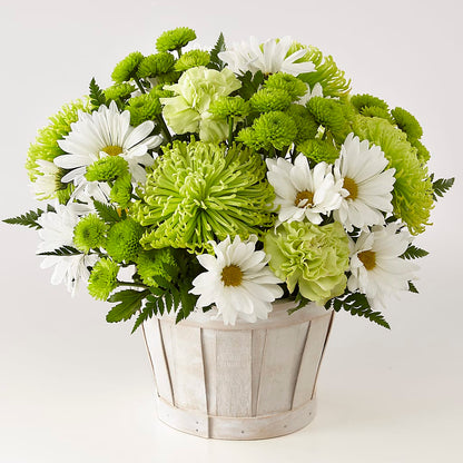 Lucky Charm Basket (Standard) –  Southern Utah Floral, Washington UT