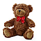Adorable Plush Bear –  Southern Utah Floral, Washington UT