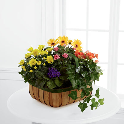 Gentle Blossoms Basket –  Southern Utah Floral, Washington UT