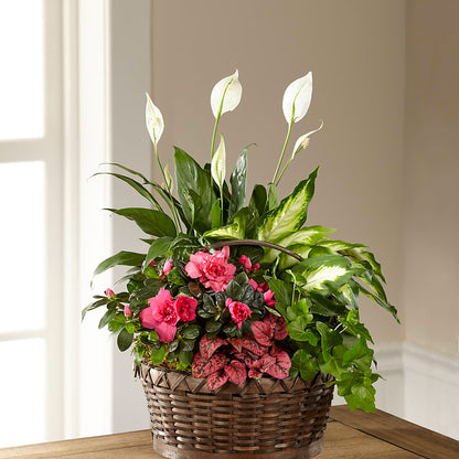 Dream in Pink Dishgarden –  Southern Utah Floral, Washington UT