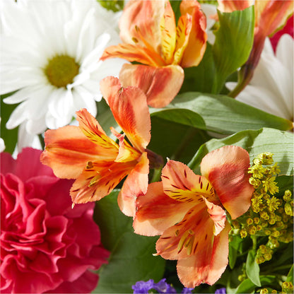 Oopsie Daisy Box Bouquet –  Southern Utah Floral, Washington UT