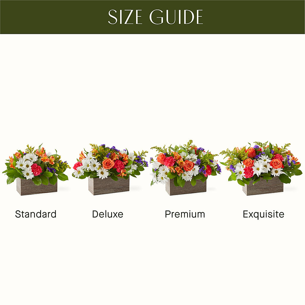 Oopsie Daisy Box Bouquet –  Southern Utah Floral, Washington UT