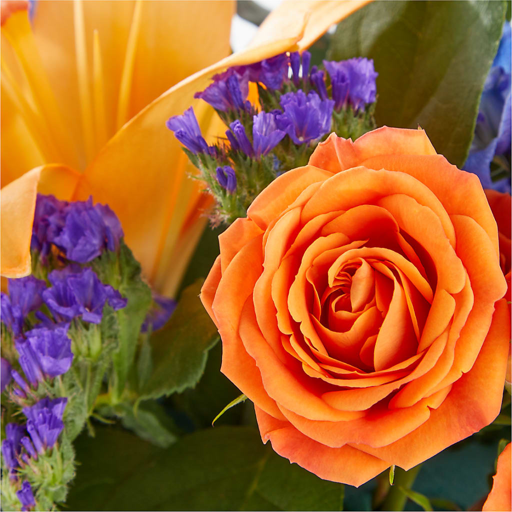 Radiant Citrus Box Bouquet –  Southern Utah Floral, Washington UT