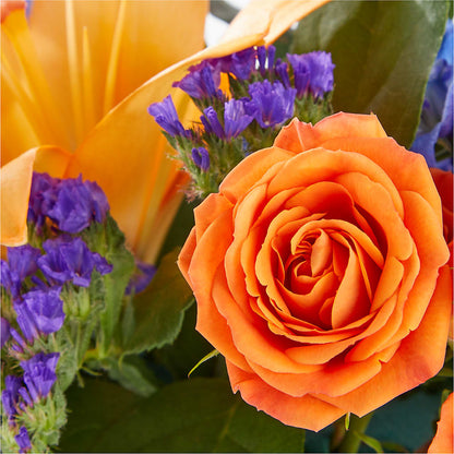 Radiant Citrus Box Bouquet –  Southern Utah Floral, Washington UT