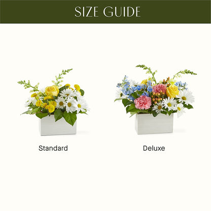 Sun Salutation Box Bouquet –  Southern Utah Floral, Washington UT