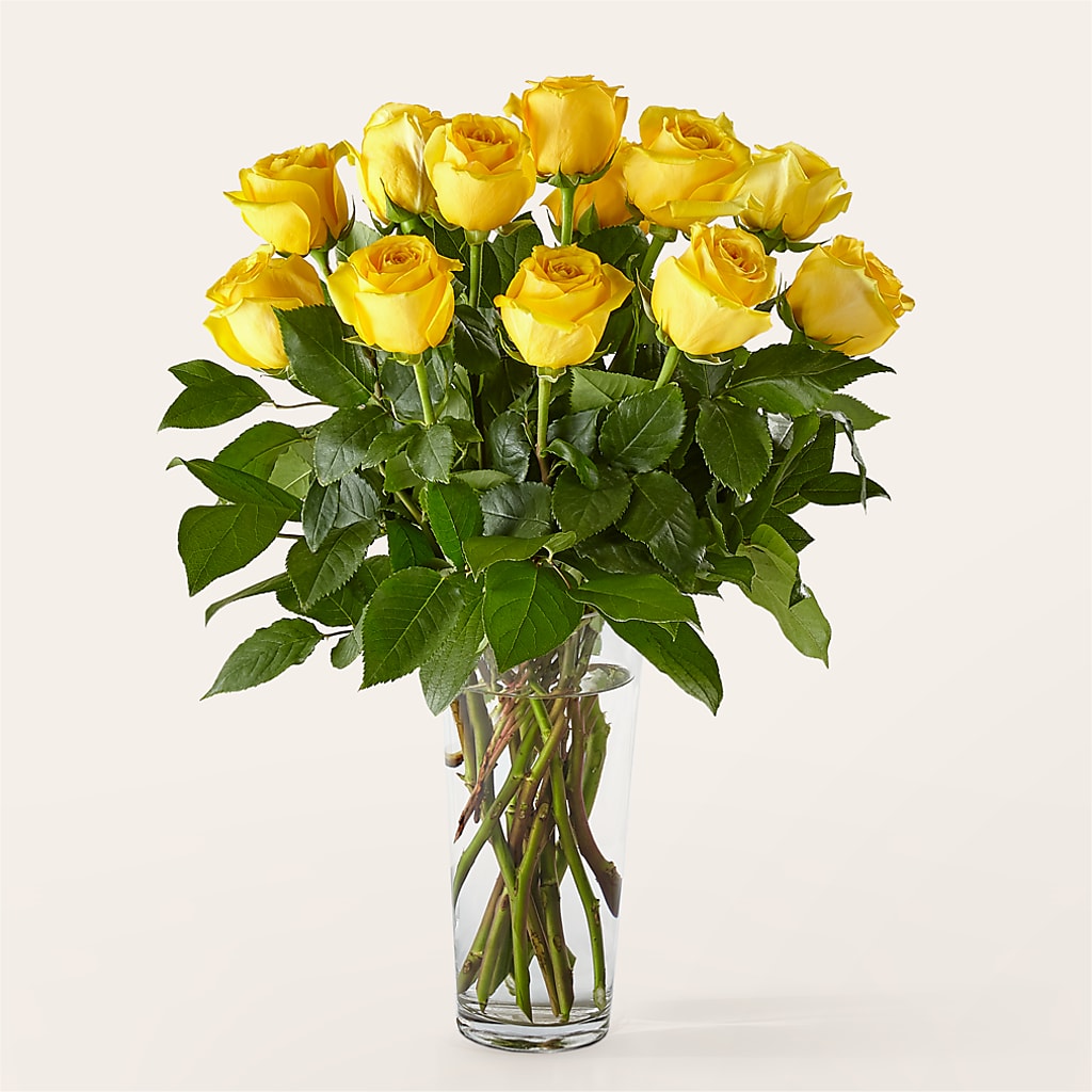 Long Stem Yellow Rose Bouquet –  Southern Utah Floral, Washington UT