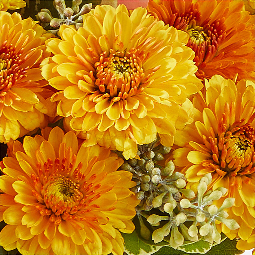 Peachy Pumpkin –  Southern Utah Floral, Washington UT