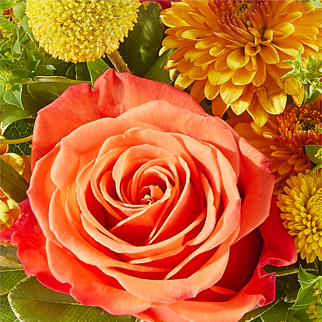 Gourdgeous Pumpkin –  Southern Utah Floral, Washington UT