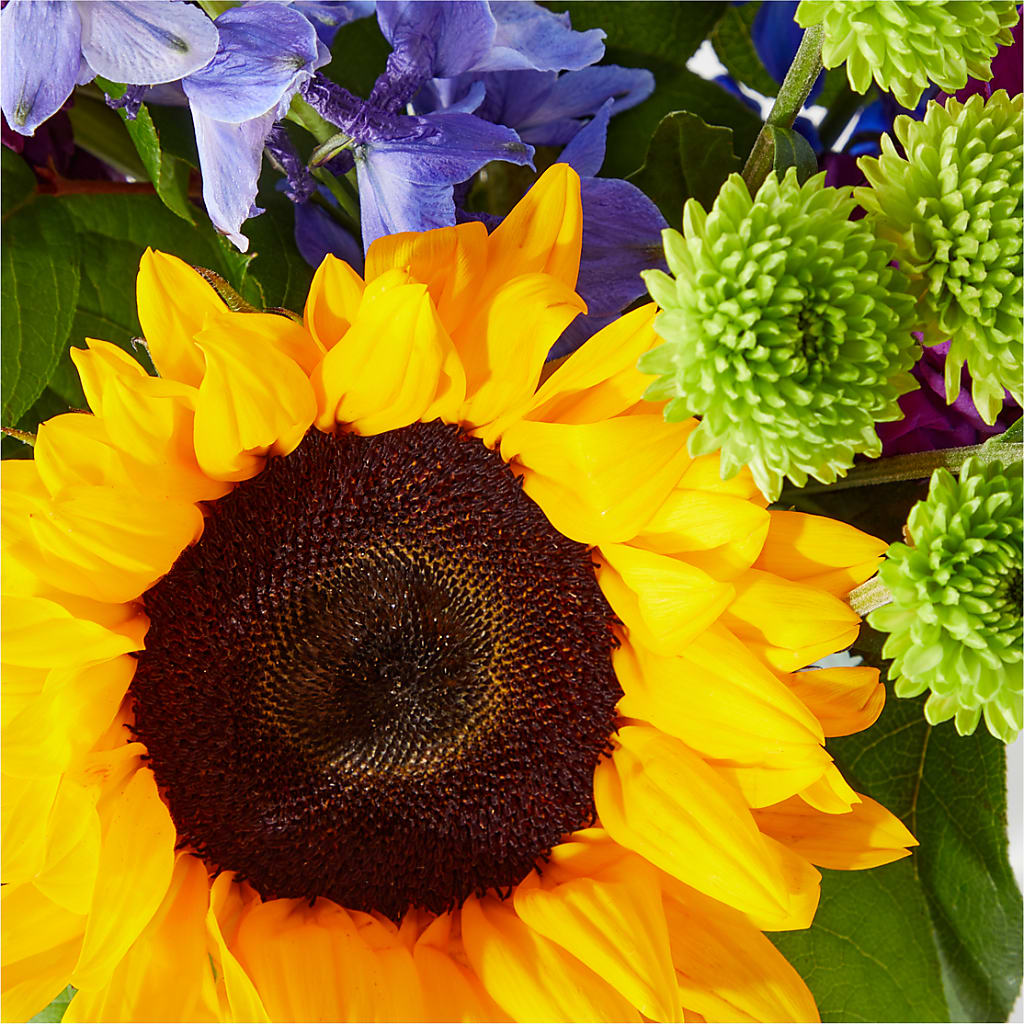 Catching Rays Bouquet –  Southern Utah Floral, Washington UT