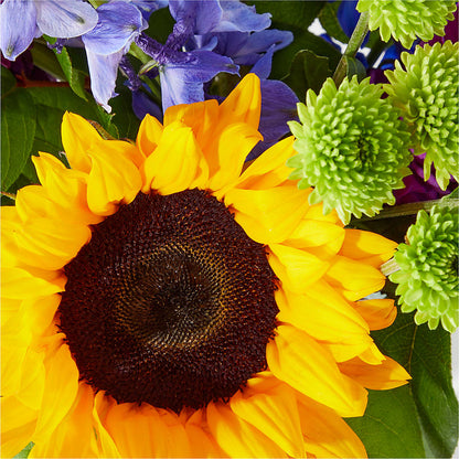 Catching Rays Bouquet –  Southern Utah Floral, Washington UT