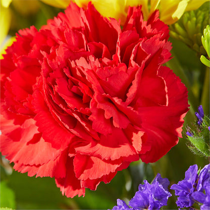 Brighter Days Bouquet –  Southern Utah Floral, Washington UT