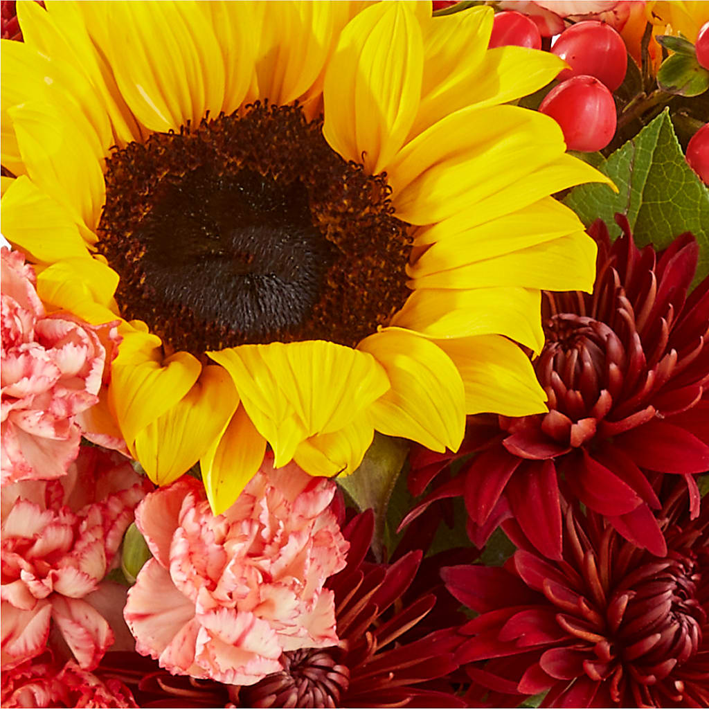 Fresh Cider Bouquet –  Southern Utah Floral, Washington UT