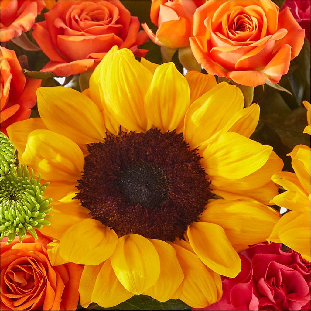 Sun-drenched Blooms Box Bouquet –  Southern Utah Floral, Washington UT