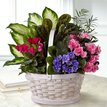 Peaceful Garden Planter –  Southern Utah Floral, Washington UT