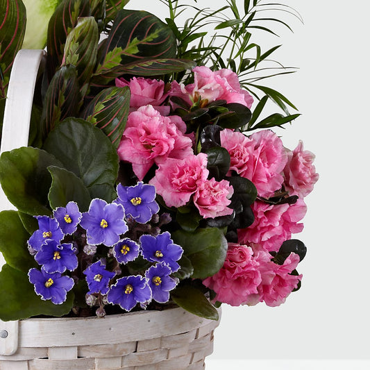 Peaceful Garden Planter –  Southern Utah Floral, Washington UT