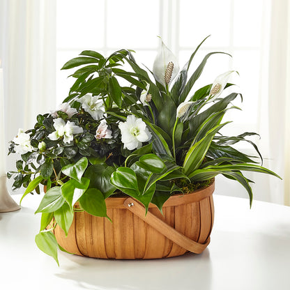 Serene Dishgarden –  Southern Utah Floral, Washington UT