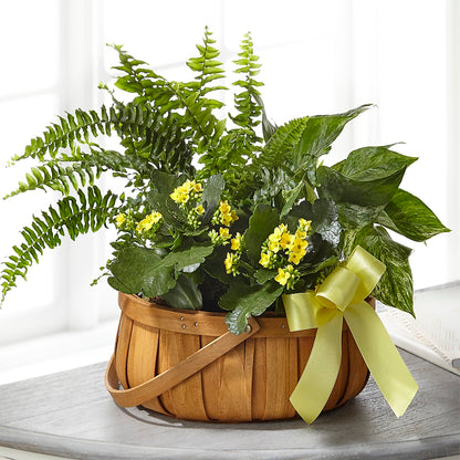 Always Dear Dishgarden –  Southern Utah Floral, Washington UT