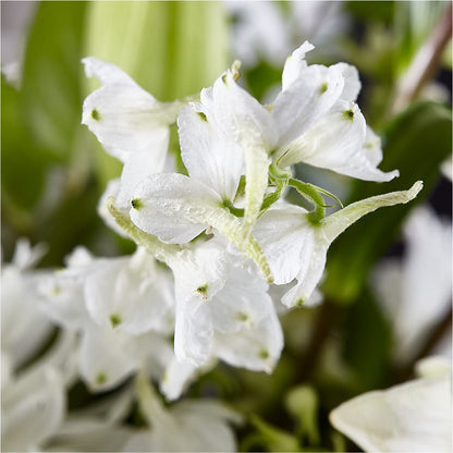Classic Ivory – A Florist Original –  Southern Utah Floral, Washington UT