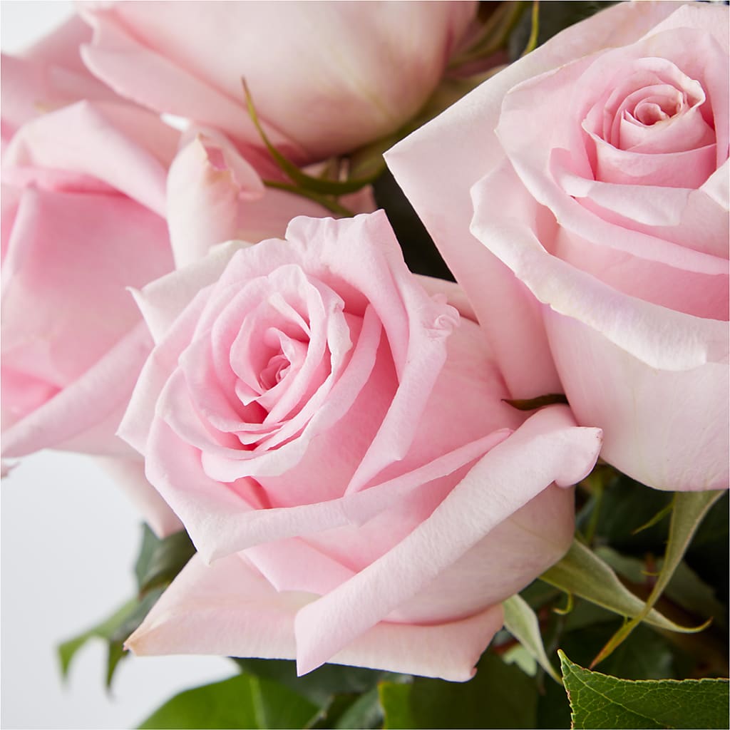 Picture Perfect Pink Rose Bouquet –  Southern Utah Floral, Washington UT