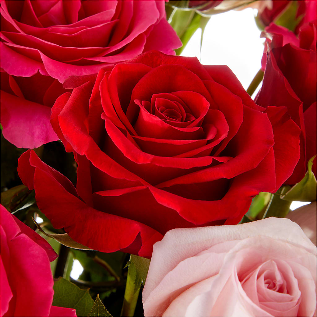 Love Notes Rose Bouquet –  Southern Utah Floral, Washington UT