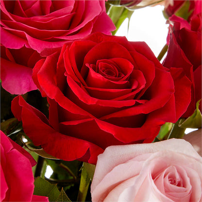 Love Notes Rose Bouquet –  Southern Utah Floral, Washington UT
