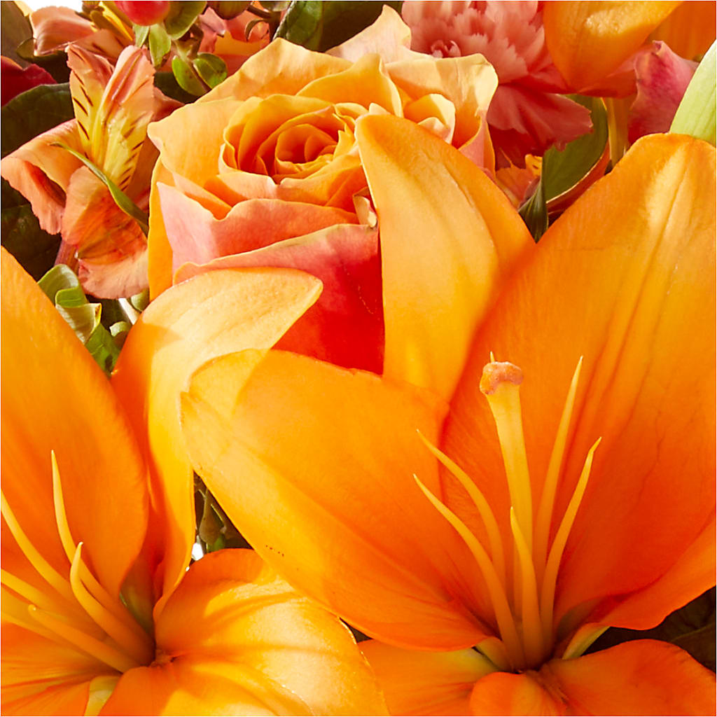 Afternoon Light Bouquet –  Southern Utah Floral, Washington UT