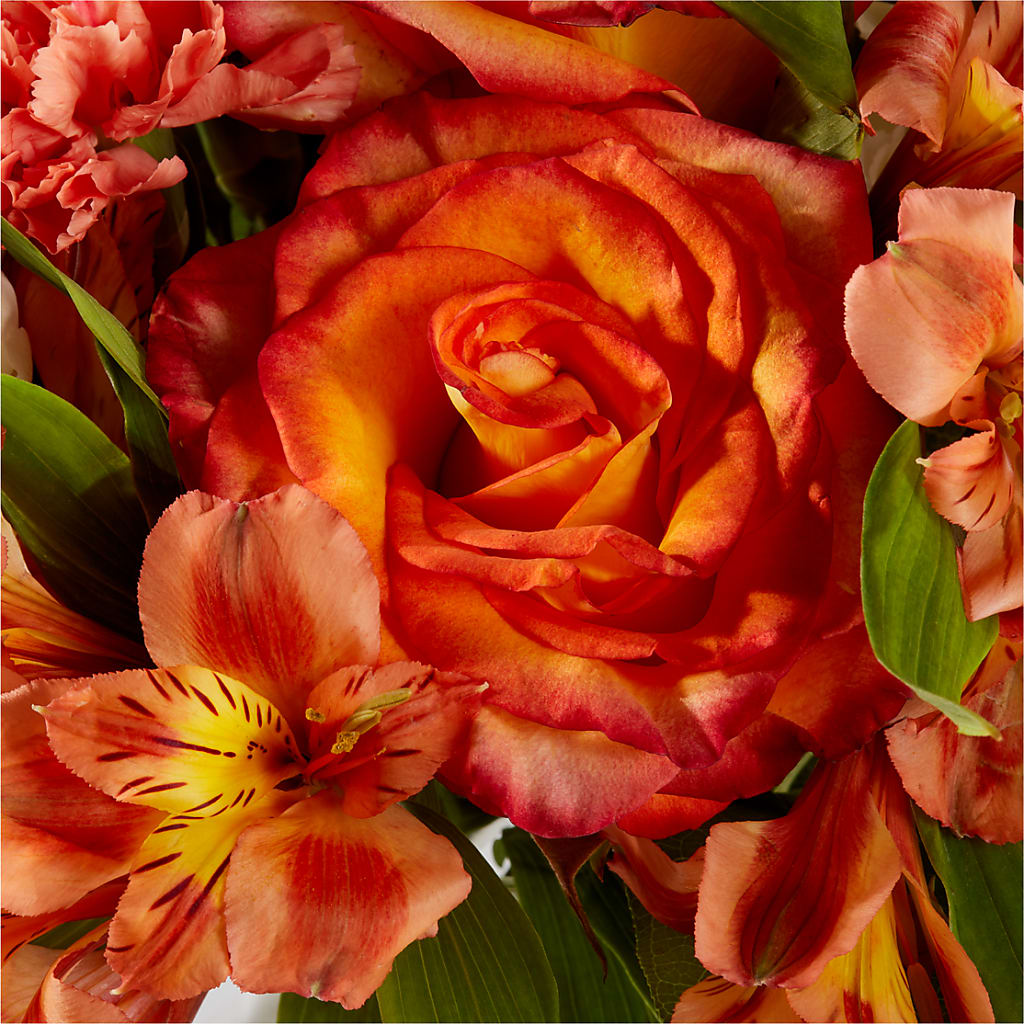 Apricot Glow Bouquet –  Southern Utah Floral, Washington UT
