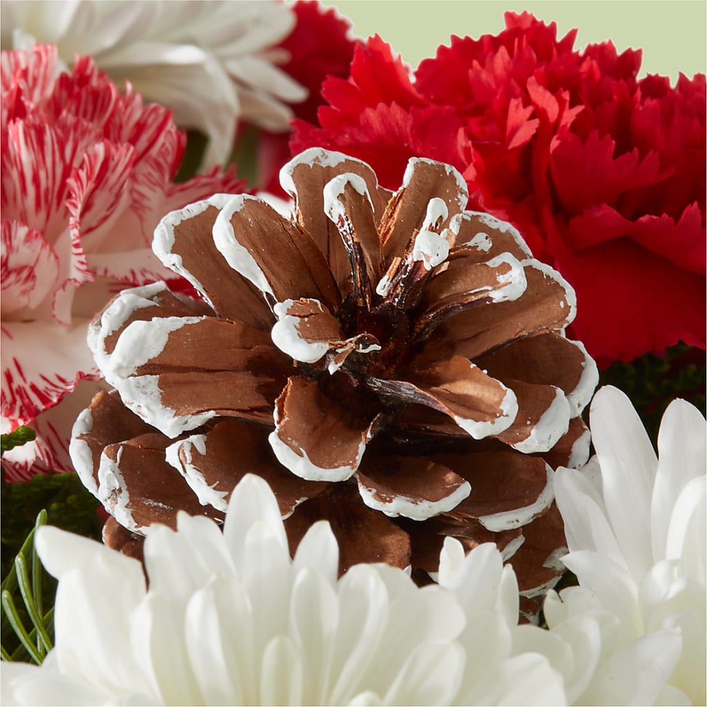 Candy Cane Lane Bouquet –  Southern Utah Floral, Washington UT
