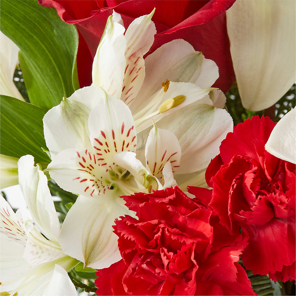 Holiday Season Bouquet –  Southern Utah Floral, Washington UT
