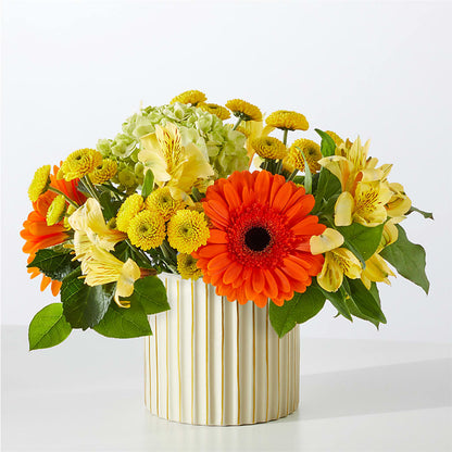 Autumn Sunshine Bouquet with Ivory Vase –  Southern Utah Floral, Washington UT