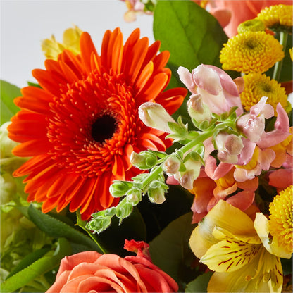 Autumn Sunshine Bouquet –  Southern Utah Floral, Washington UT
