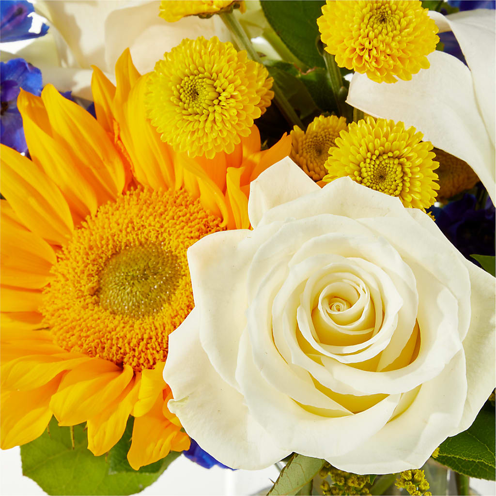 Stargazing Bouquet –  Southern Utah Floral, Washington UT