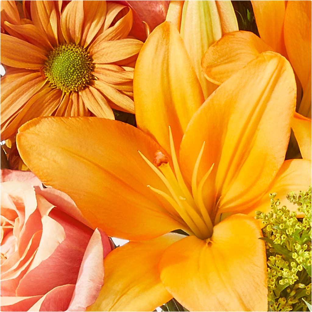 Harvest Hayride Bouquet –  Southern Utah Floral, Washington UT
