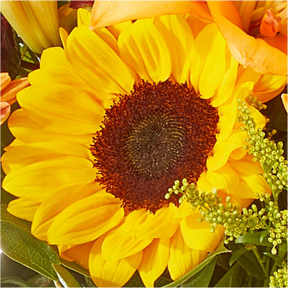 Seasons Change Bouquet –  Southern Utah Floral, Washington UT