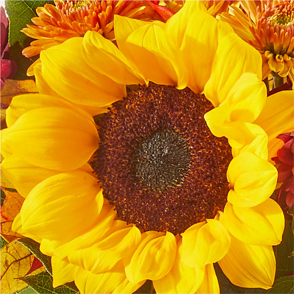 Sunny Side Bouquet –  Southern Utah Floral, Washington UT